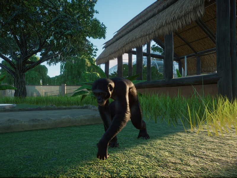 planetzooscreenshot003